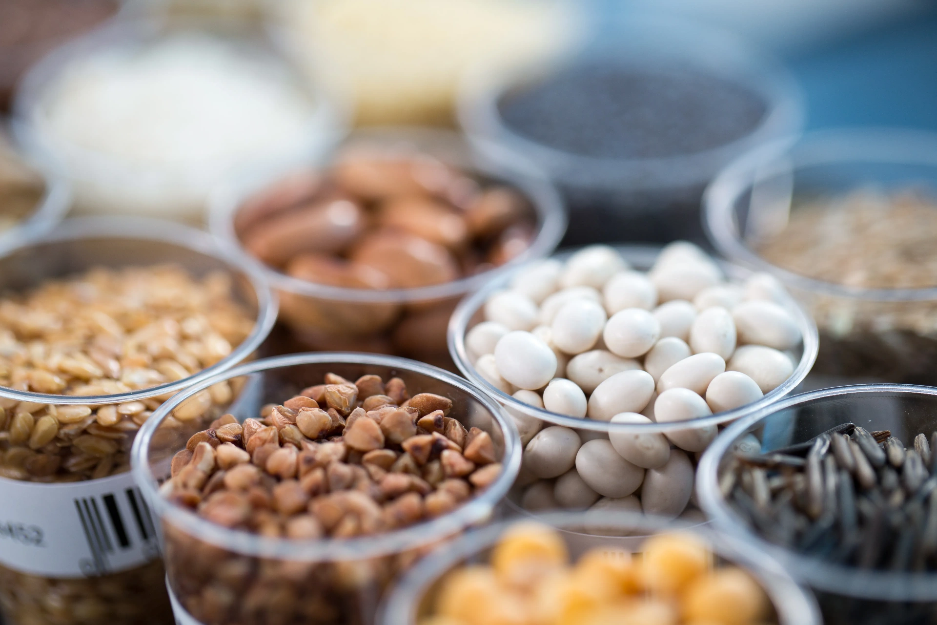 Chimie des aliments